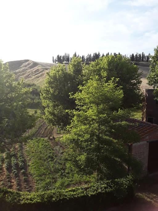 Agriturismo Podere Molino Peccioli Exterior photo
